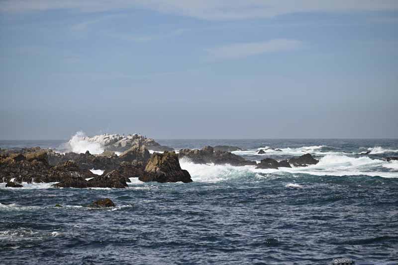 Waves Pounding Shore