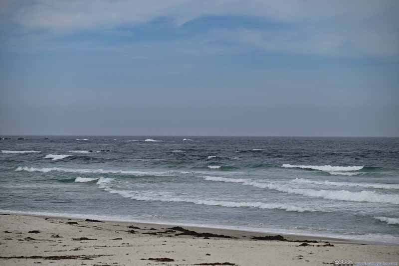 Asilomar 州立海滩外的海浪