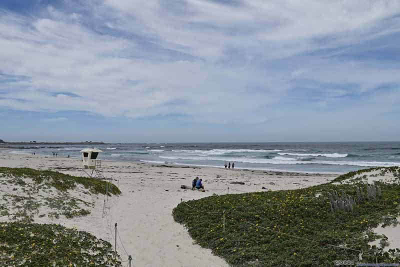 Asilomar 州立海滩