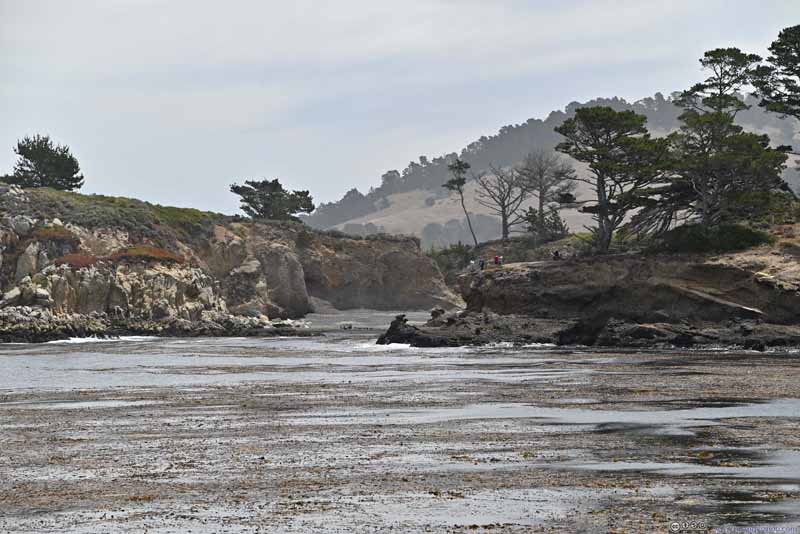 鲸鱼湾对岸的 Coal Chute Point