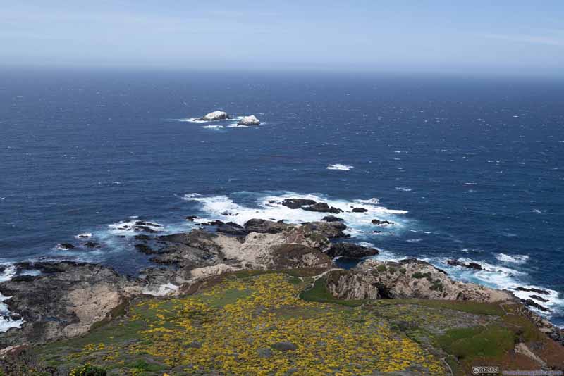 野花装点的山坡及远处海岸