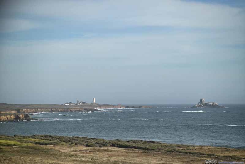 远处 Piedras Blancas 灯塔