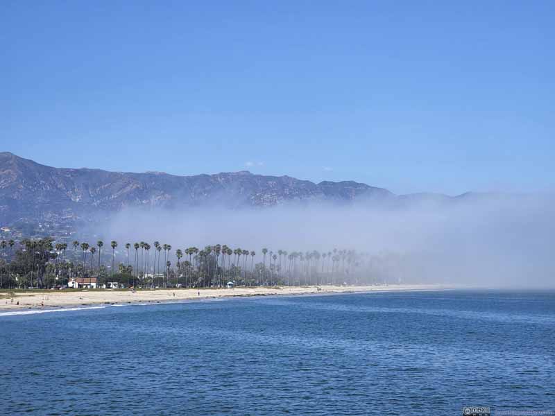 Beach Covered by Fog