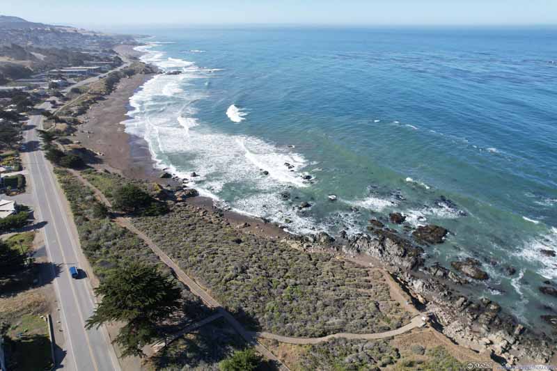 Cambria Coast