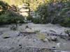 Switchbacks along Bill Reily Trail