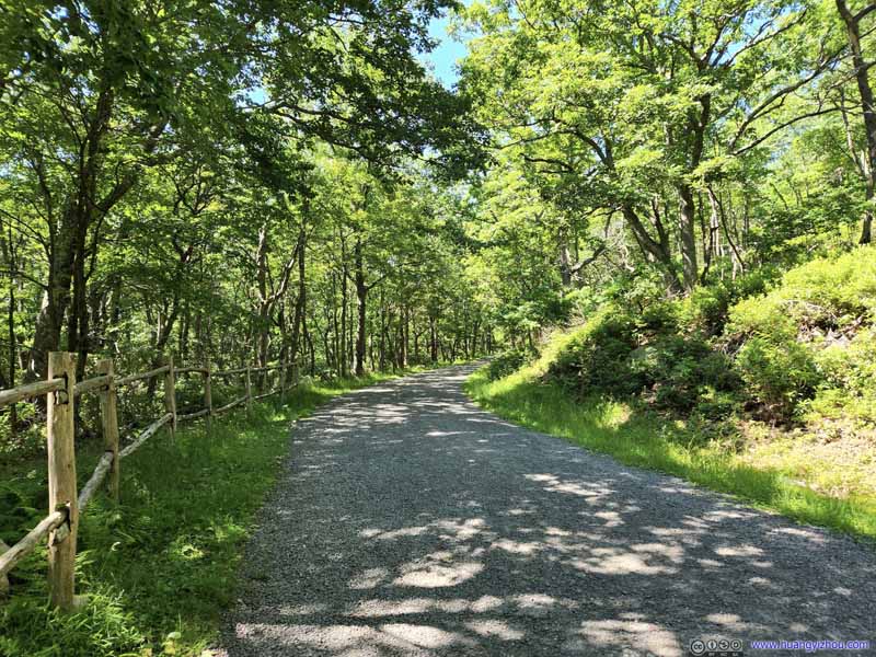 Trail to Sam's Point