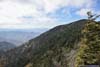 Mount LeConte from Myrtle Point