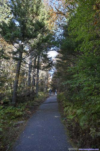 Trail to Devils Courthouse
