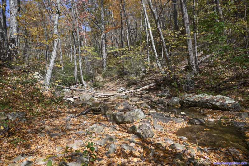 Trail along Riprap Creek