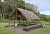 Traditional Hawaiian House