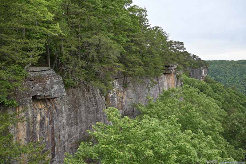 Rock Cliffs along New River Gorge
