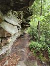 Trail along Rock Wall