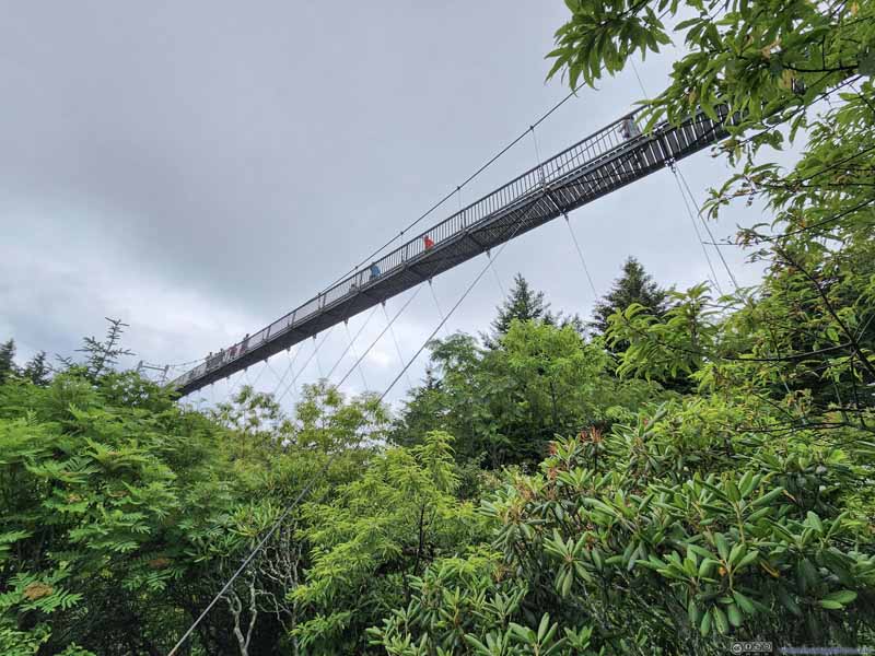Mile High Swinging Bridge from Below