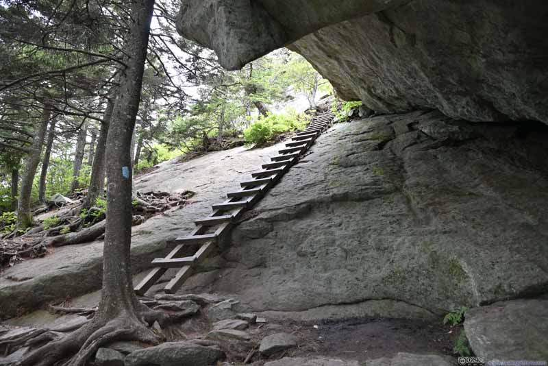 Ladder on Steep Slope