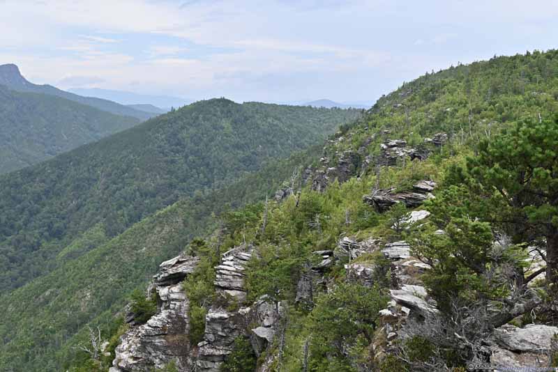 Eastern Rim of Linville Gorge