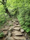 Trail to Mount Pisgah
