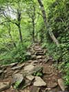 Trail to Mount Pisgah