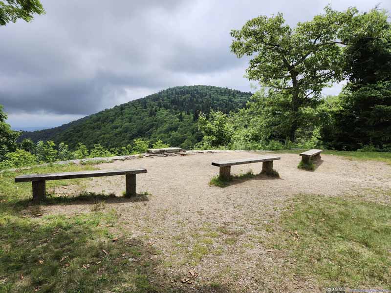 Benches at the Site of Buck Spring Lodge