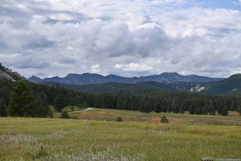 Meadow before Mountains