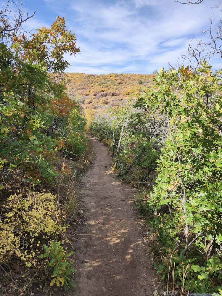 Oak Flat Trail