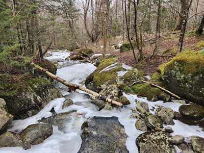 Maclntyre Brook