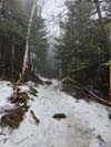 Trail