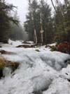 Ski Trail