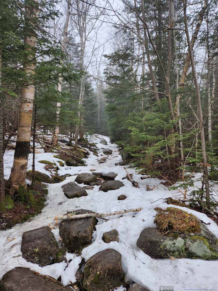 Trail
