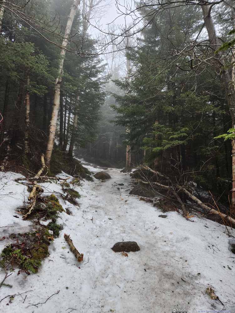 Trail