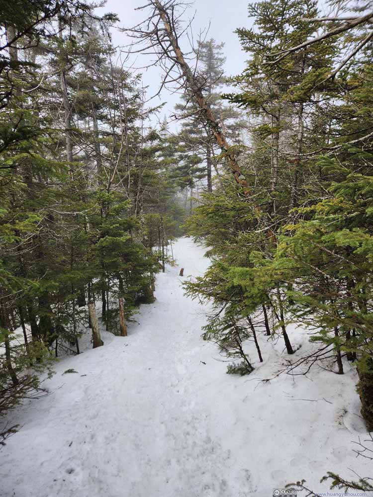 Trail