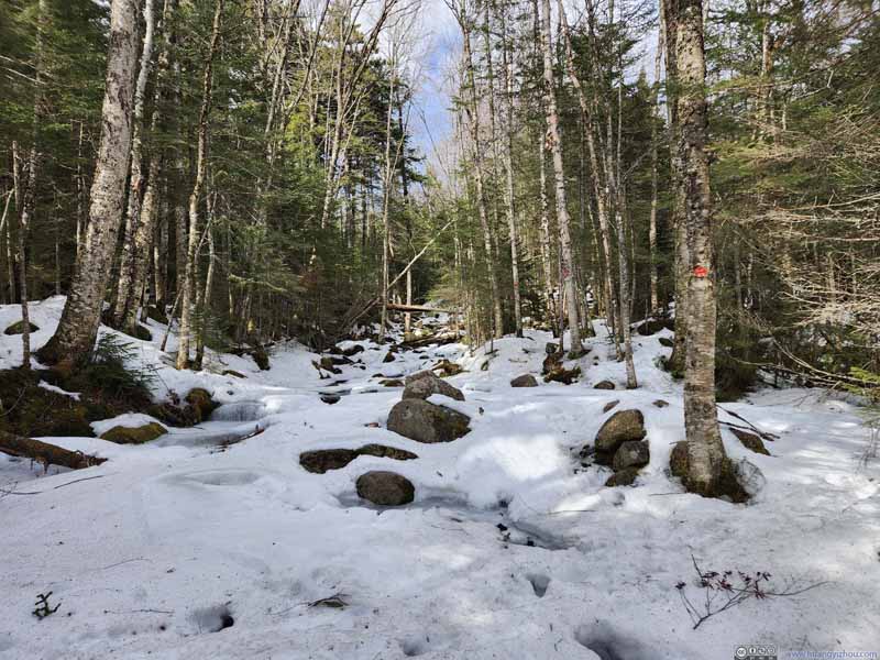 Trail along Slide Mountain Brook