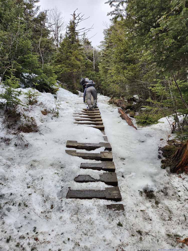 Ice-Covered Ladders