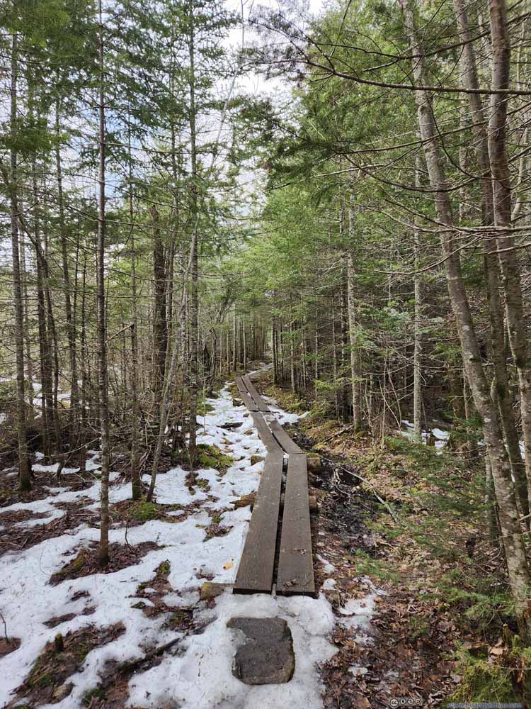 Trail on Boardwalk