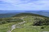 Trail from Mount Moosilauke Summit