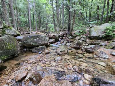 Chocorua River