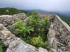 Foundation of Fire Tower on Middle Sister