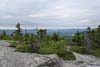 Views along Carter Ledge Trail