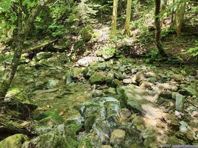 Crossing Avalanche Brook