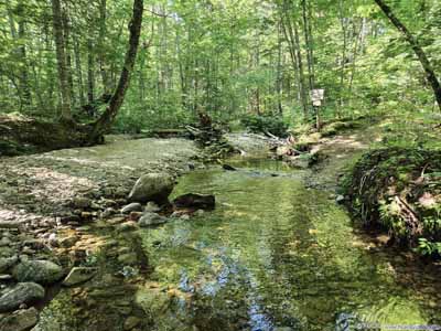 Crossing Avalanche Brook