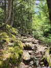 Trail