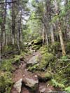 Trail