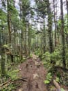 Trail