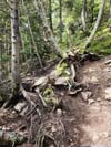 Trail