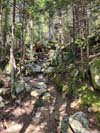 Trail