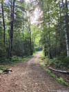 Forest Road