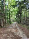 Forest Road