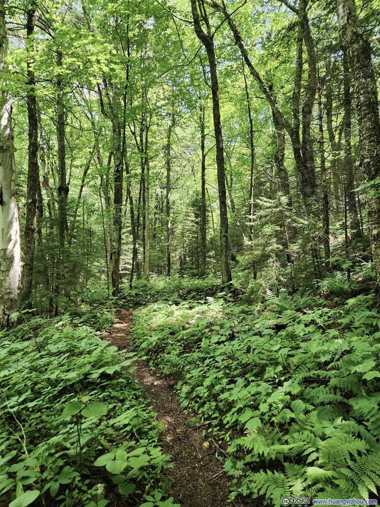 Trail