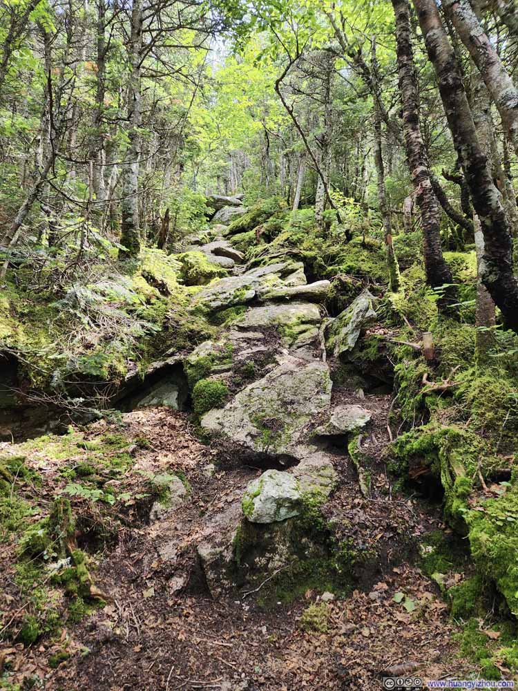 Trail