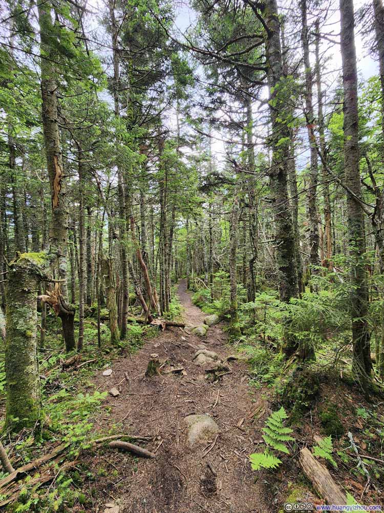 Trail