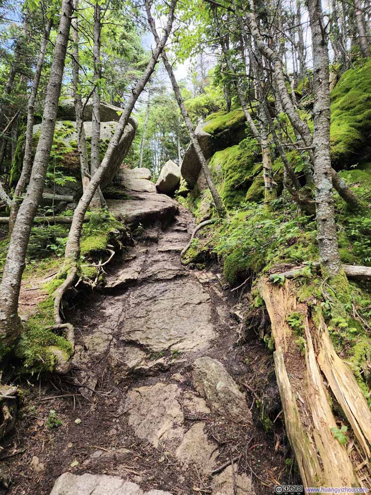 Trail